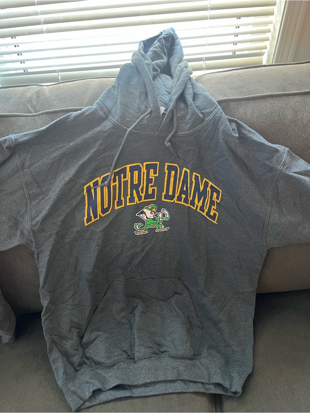 Notre Dame Gray Hoodie with Gold Lettering